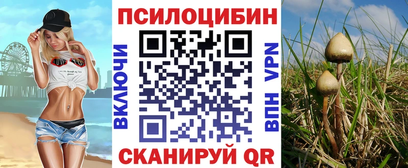 Псилоцибиновые грибы мицелий  OMG как зайти  Березники 